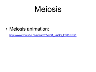 Meiosis 
• Meiosis animation: 
http://www.youtube.com/watch?v=D1_-mQS_FZ0&NR=1 
 