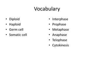 Vocabulary 
• Diploid 
• Haploid 
• Germ cell 
• Somatic cell 
• Interphase 
• Prophase 
• Metaphase 
• Anaphase 
• Telophase 
• Cytokinesis 
 