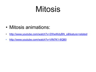 Mitosis 
• Mitosis animations: 
• http://www.youtube.com/watch?v=2WwIKdyBN_s&feature=related 
• http://www.youtube.com/watch?v=VlN7K1-9QB0 
 