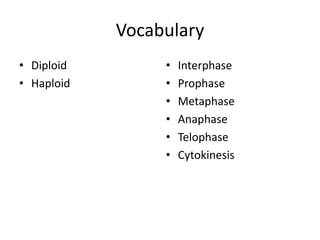 Vocabulary 
• Diploid 
• Haploid 
• Interphase 
• Prophase 
• Metaphase 
• Anaphase 
• Telophase 
• Cytokinesis 
 