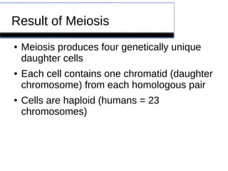 Result of Meiosis 
● Meiosis produces four genetically unique 
daughter cells 
● Each cell contains one chromatid (daughter 
chromosome) from each homologous pair 
● Cells are haploid (humans = 23 
chromosomes) 
 