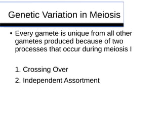 Genetic Variation in Meiosis 
● Every gamete is unique from all other 
gametes produced because of two 
processes that occur during meiosis I 
1. Crossing Over 
2. Independent Assortment 
 