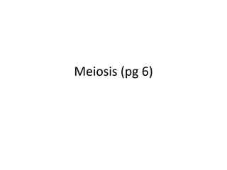 Meiosis (pg 6)
 