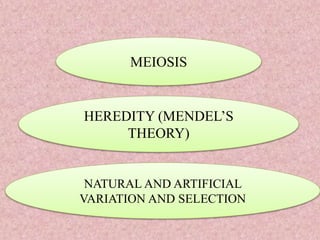 MEIOSIS
HEREDITY (MENDEL’S
THEORY)
NATURAL AND ARTIFICIAL
VARIATION AND SELECTION
 