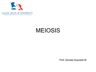 MEIOSIS
Prof. Daniela Quezada M
 
