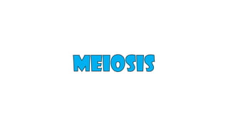 Meiosis I
 