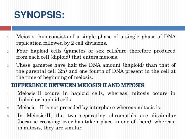 What is the difference between diploid and haploid cells?