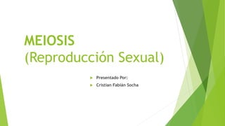 MEIOSIS
(Reproducción Sexual)
 Presentado Por:
 Cristian Fabián Socha
 
