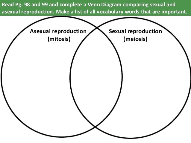 Asexual Reproduction Vs Sexual Reproduction Chart