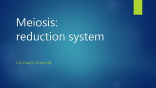 Meiosis:
reduction system
THE STAGES OF MEIOSIS
 