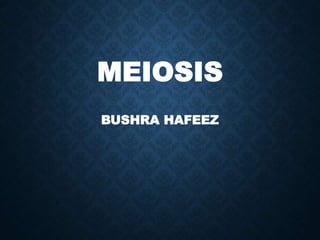 MEIOSIS
BUSHRA HAFEEZ
 