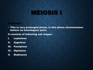 Meiosis | PPT