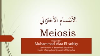 ‫ايل‬‫زت‬‫خ‬‫أ‬‫ل‬‫ا‬ ‫سام‬‫نق‬‫أ‬‫ل‬‫ا‬
Meiosis
Prepared by
Muhammad Alaa El-sobky
Demonstrator at department of Genetics
Faculty of agriculture University of Menoufiya
 