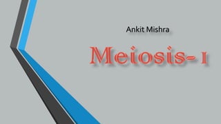 Ankit Mishra
 