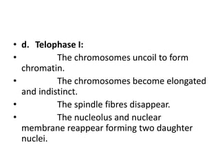 • d. Telophase I:
• The chromosomes uncoil to form
chromatin.
• The chromosomes become elongated
and indistinct.
• The spindle fibres disappear.
• The nucleolus and nuclear
membrane reappear forming two daughter
nuclei.
 