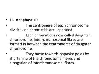 • iii. Anaphase IT:
• The centromere of each chromosome
divides and chromatids are separated.
• Each chromatid is now called daughter
chromosome. Inter-chromosomal fibres are
formed in between the centromeres of daughter
chromosome.
• They move towards opposite poles by
shortening of the chromosomal fibres and
elongation of interchromosomal fibres.
 