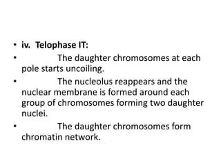 • iv. Telophase IT:
• The daughter chromosomes at each
pole starts uncoiling.
• The nucleolus reappears and the
nuclear membrane is formed around each
group of chromosomes forming two daughter
nuclei.
• The daughter chromosomes form
chromatin network.
 