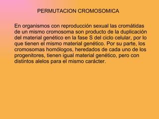 PERMUTACION CROMOSOMICA En organismos con reproducción sexual las cromátidas de un mismo cromosoma son producto de la duplicación del material genético en la fase S del ciclo celular, por lo que tienen el mismo material genético. Por su parte, los cromosomas homólogos, heredados de cada uno de los progenitores, tienen igual material genético, pero con distintos alelos para el mismo carácter.  