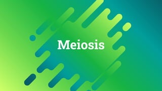 Meiosis
 