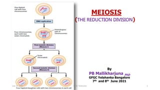 MEIOSIS
(THE REDUCTION DIVISION)
By
PB Mallikharjuna PhD
GFGC Yelahanka Bangalore
7th and 8th June 2021
July 13, 2021 GFGC Yelahanka 1
 