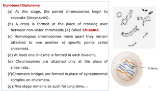 Diplotene/Diplonema
(a) At this stage, the paired chromosomes begin to
separate (desynapsis).
(b) A cross is formed at the place of crossing over
between non-sister chromatids (X) called Chiasma
(c) Homologous chromosomes move apart they remain
attached to one another at specific points called
chiasmata.
(d) At least one chiasma is formed in each bivalent.
(e) Chromosomes are attached only at the place of
chiasmata.
(f)Chromatin bridges are formed in place of synaptonemal
complex on chiasmata.
(g) This stage remains as such for long time.
July 13, 2021 GFGC Yelahanka 13
 