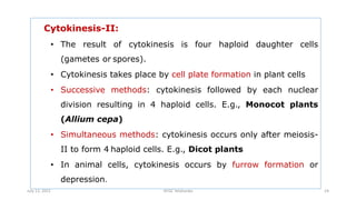 Cytokinesis-II:
• The result of cytokinesis is four haploid daughter cells
(gametes or spores).
• Cytokinesis takes place by cell plate formation in plant cells
• Successive methods: cytokinesis followed by each nuclear
division resulting in 4 haploid cells. E.g., Monocot plants
(Allium cepa)
• Simultaneous methods: cytokinesis occurs only after meiosis-
II to form 4 haploid cells. E.g., Dicot plants
• In animal cells, cytokinesis occurs by furrow formation or
depression.
July 13, 2021 GFGC Yelahanka 24
 