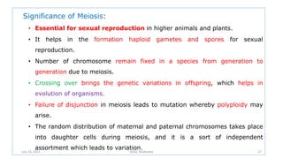 Significance of Meiosis:
• Essential for sexual reproduction in higher animals and plants.
• It helps in the formation haploid gametes and spores for sexual
reproduction.
• Number of chromosome remain fixed in a species from generation to
generation due to meiosis.
• Crossing over brings the genetic variations in offspring, which helps in
evolution of organisms.
• Failure of disjunction in meiosis leads to mutation whereby polyploidy may
arise.
• The random distribution of maternal and paternal chromosomes takes place
into daughter cells during meiosis, and it is a sort of independent
assortment which leads to variation.
July 13, 2021 GFGC Yelahanka 27
 