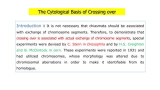 The Cytological Basis of Crossing over
Introduction : It is not necessary that chiasmata should be associated
with exchange of chromosome segments. Therefore, to demonstrate that
crossing over is associated with actual exchange of chromosome segments, special
experiments were devised by C. Stern in Drosophila and by H.S. Creighton
and B. McClintock in corn. These experiments were reported in 1931 and
had utilized chromosomes, whose morphology was altered due to
chromosomal aberrations in order to make it identifiable from its
homologue.
 
