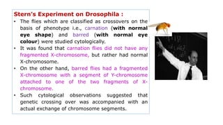 Stern’s Experiment on Drosophila :
• The flies which are classified as crossovers on the
basis of phenotype i.e., carnation (with normal
eye shape) and barred (with normal eye
colour) were studied cytologically.
• It was found that carnation flies did not have any
fragmented X-chromosome, but rather had normal
X-chromosome.
• On the other hand, barred flies had a fragmented
X-chromosome with a segment of Y-chromosome
attached to one of the two fragments of X-
chromosome.
• Such cytological observations suggested that
genetic crossing over was accompanied with an
actual exchange of chromosome segments.
 