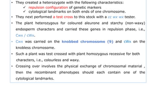 • They created a heterozygote with the following characteristics:
 repulsion configuration of genetic markers
 cytological landmarks on both ends of one chromosome.
• They next performed a test cross to this stock with a cc wx wx tester.
• The plant heterozygous for coloured aleurone and starchy (non-waxy)
endosperm characters and carried these genes in repulsion phase, i.e.,
Cwx / cWx.
• Cwx was carried on the and cWx on the
knobless chromosome.
• Such a plant was test crossed with plant homozygous recessive for both
characters, i.e., colourless and waxy.
• Crossing over involves the physical exchange of chromosomal material ,
then the recombinant phenotypes should each contain one of the
cytological landmarks.
 