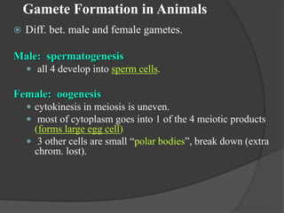 Gamet Formation Meiosis.ppt