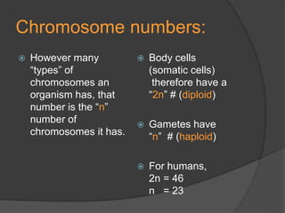 Meiosis.ppt