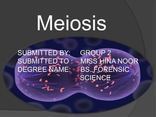 Meiosis
SUBMITTED BY: GROUP 2
SUBMITTED TO : MISS HINA NOOR
DEGREE NAME: BS. FORENSIC
SCIENCE
 