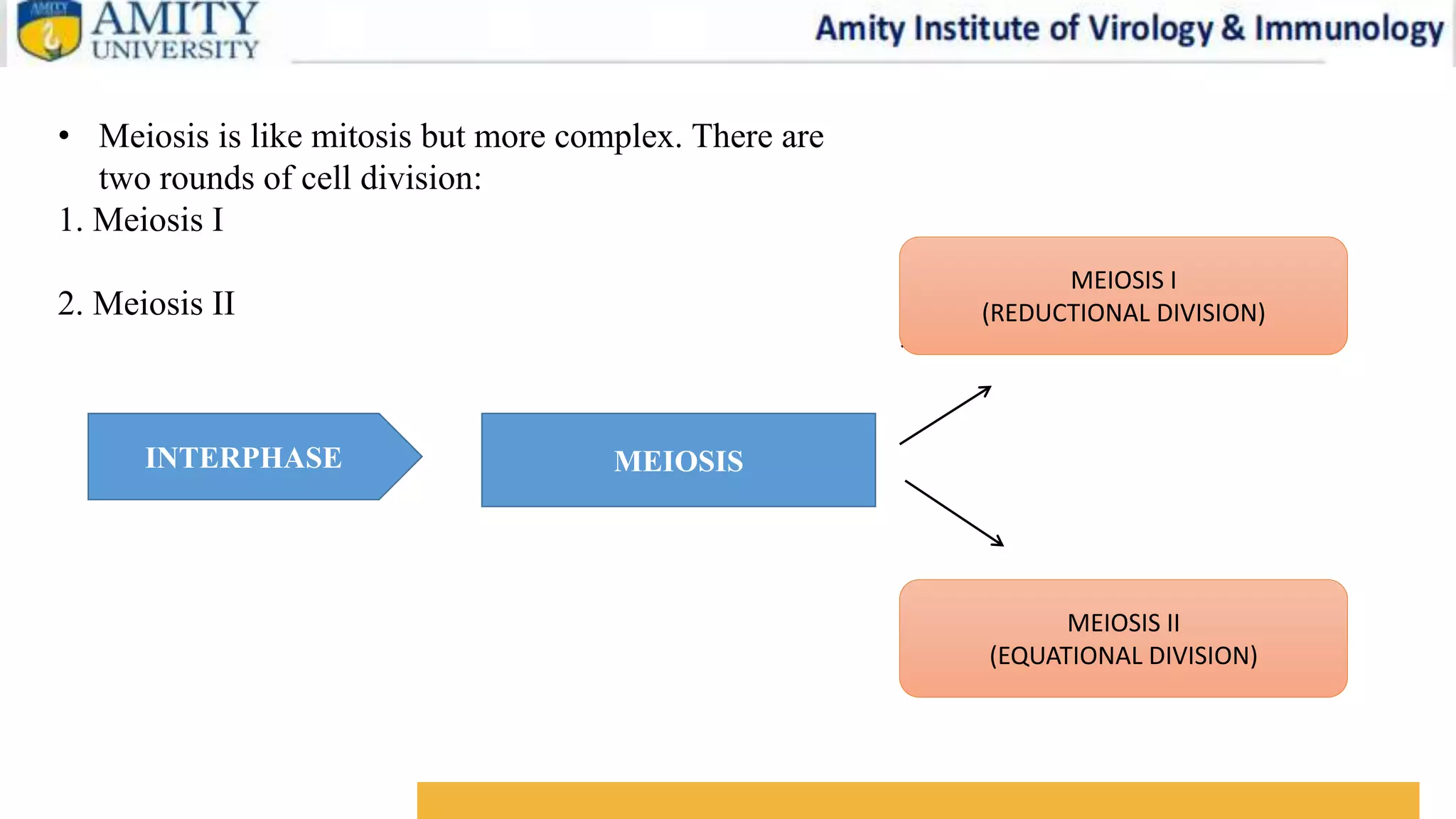 MEIOSIS.pptx