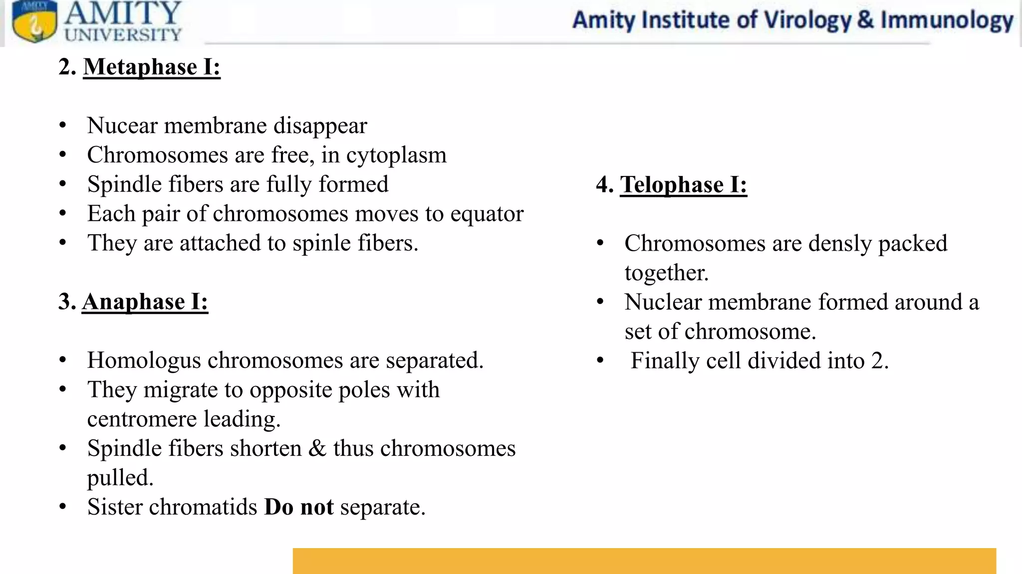 MEIOSIS.pptx