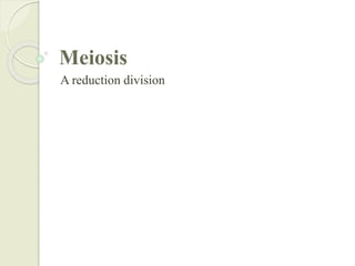 Meiosis
A reduction division
 