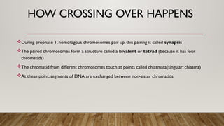 Human Anatomy and physiology MEIOSIS.pptx
