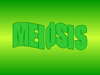 MEIOSIS 