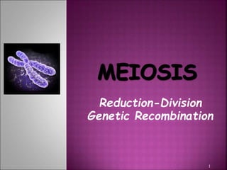 Reduction-Division
Genetic Recombination
1
 