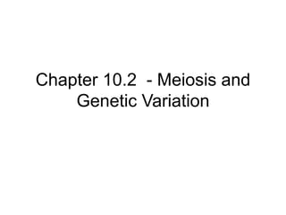 Chapter 10.2 - Meiosis and
Genetic Variation
 