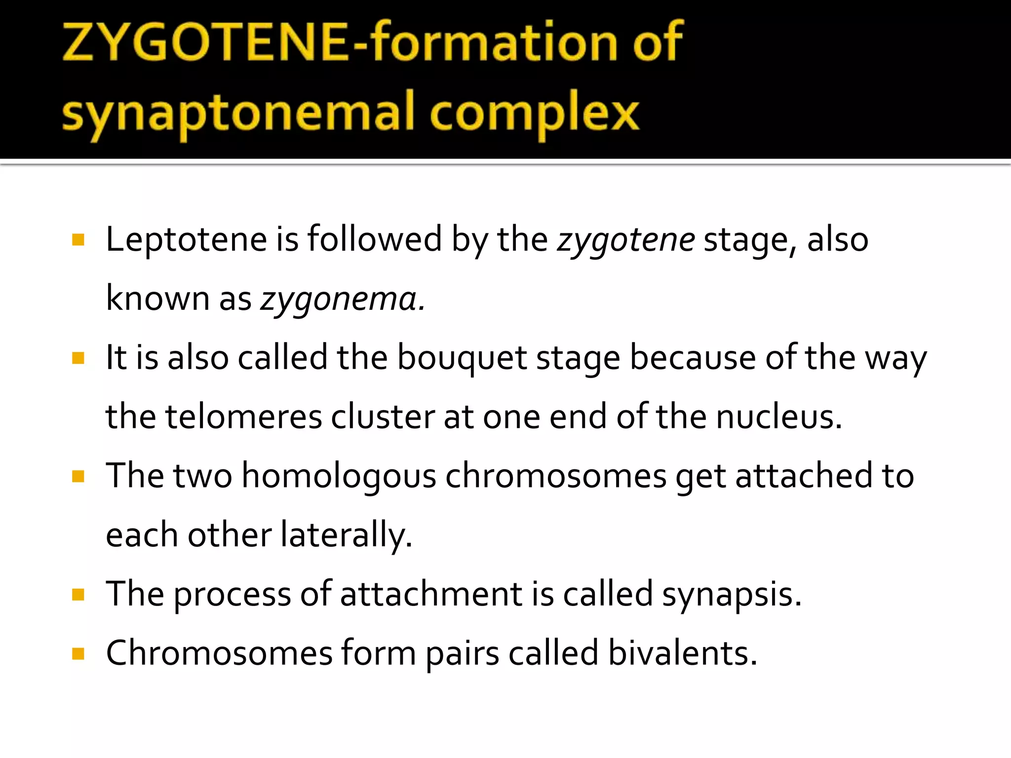 Meiosis-THE REDUCTIONAL DIVISION