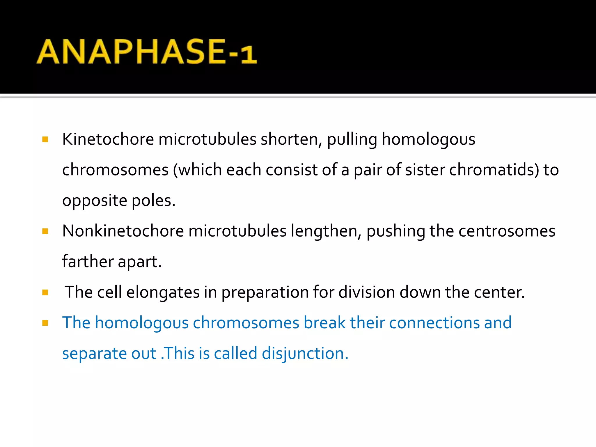 Meiosis-THE REDUCTIONAL DIVISION