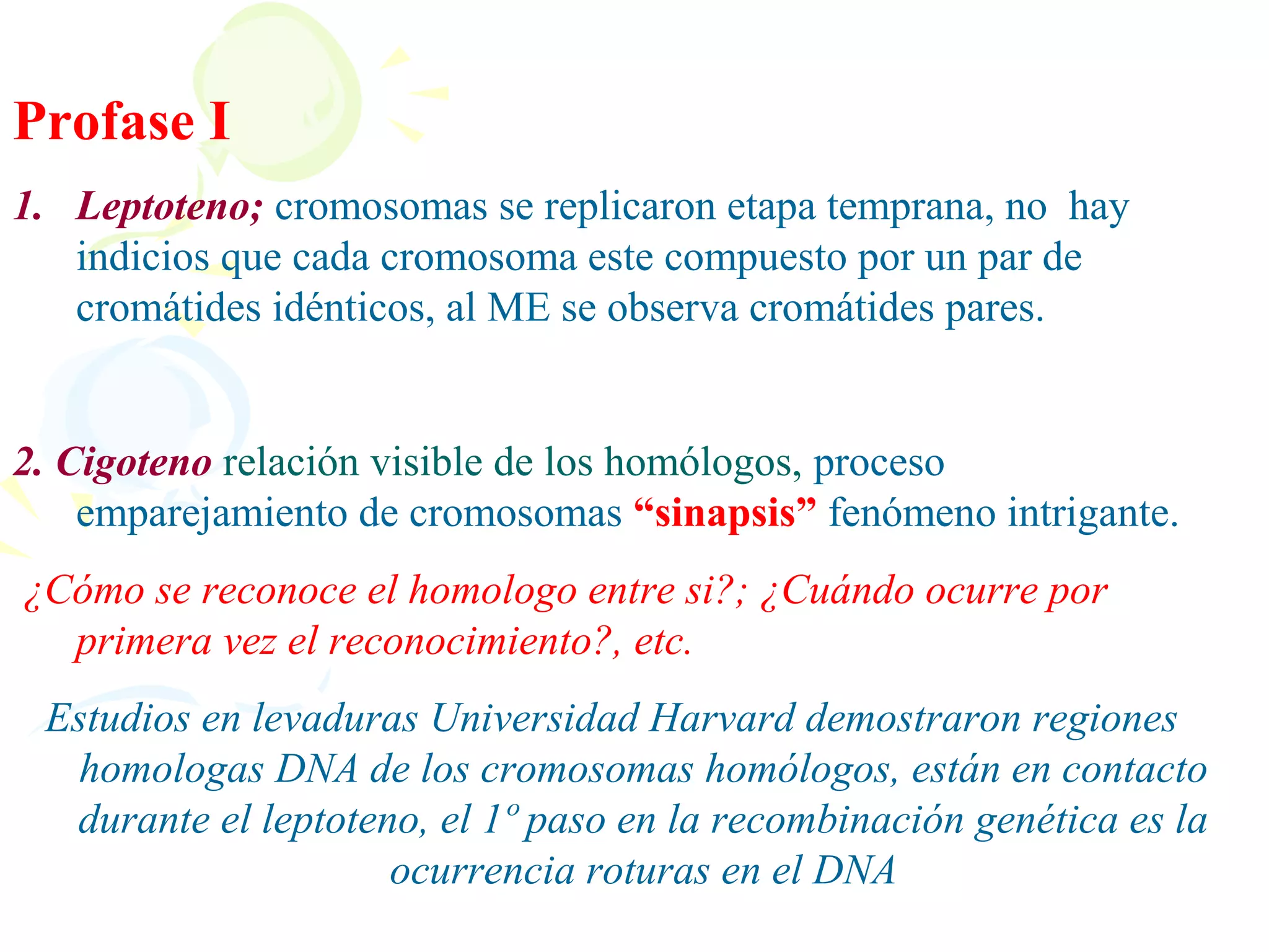 Profase I
1. Leptoteno; cromosomas se replicaron etapa temprana, no hay
   indicios que cada cromosoma este compuesto por un par de
   cromátides idénticos, al ME se observa cromátides pares.


2. Cigoteno relación visible de los homólogos, proceso
    emparejamiento de cromosomas “sinapsis” fenómeno intrigante.
¿Cómo se reconoce el homologo entre si?; ¿Cuándo ocurre por
  primera vez el reconocimiento?, etc.
 Estudios en levaduras Universidad Harvard demostraron regiones
  homologas DNA de los cromosomas homólogos, están en contacto
  durante el leptoteno, el 1º paso en la recombinación genética es la
                     ocurrencia roturas en el DNA
 