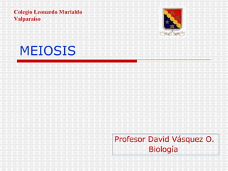 MEIOSIS Profesor David Vásquez O. Biología Colegio Leonardo Murialdo Valparaíso 