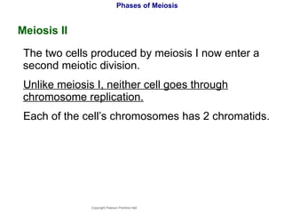 Phases of Meiosis Meiosis II The two cells produced by meiosis I now enter a second meiotic division. Unlike meiosis I, neither cell goes through chromosome replication. Each of the cell’s chromosomes has 2 chromatids. Copyright Pearson Prentice Hall 