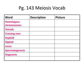 Pg. 143 Meiosis Vocab Word Description Picture Homologous chromosomes Tetrads Crossing over Haploid Diploid Locus Spermatogenesis Oogenesis 