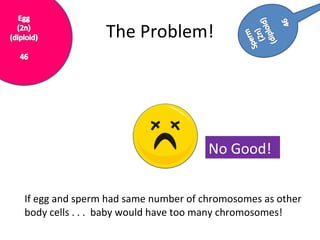 If egg and sperm had same number of chromosomes as other body cells . . .  baby would have too many chromosomes! No Good! The Problem! 