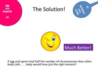 The Solution! Much Better! If egg and sperm had half the number of chromosomes than other body cells . . .  baby would have just the right amount! 