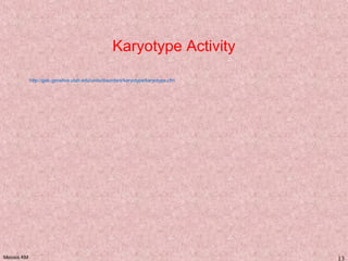 Meiosis KM 13
http://gslc.genetics.utah.edu/units/disorders/karyotype/karyotype.cfm
Karyotype Activity
 