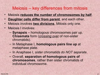 Meiosis KM 17
Meiosis – key differences from mitosis
• Meiosis reduces the number of chromosomes by half.
• Daughter cells differ from parent, and each other.
• Meiosis involves two divisions, Mitosis only one.
• Meiosis I involves:
– Synapsis – homologous chromosomes pair up.
Chiasmata form (crossing over of non-sister
chromatids).
– In Metaphase I, homologous pairs line up at
metaphase plate.
– In Anaphase I, sister chromatids do NOT separate.
– Overall, separation of homologous pairs of
chromosomes, rather than sister chromatids of
individual chromosome.
 